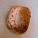 Pan de cosecha