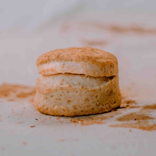 Biscuit